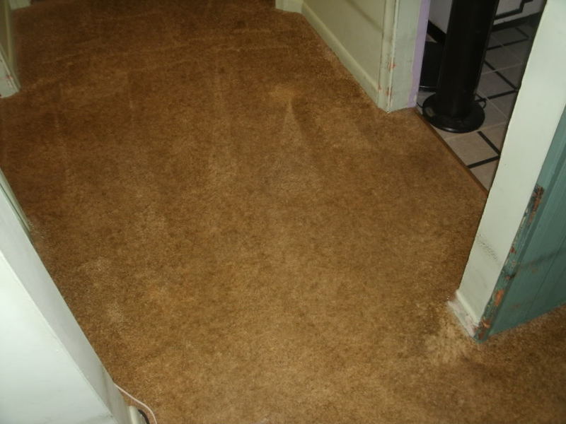 BeforeandAfterMidJune013.jpg