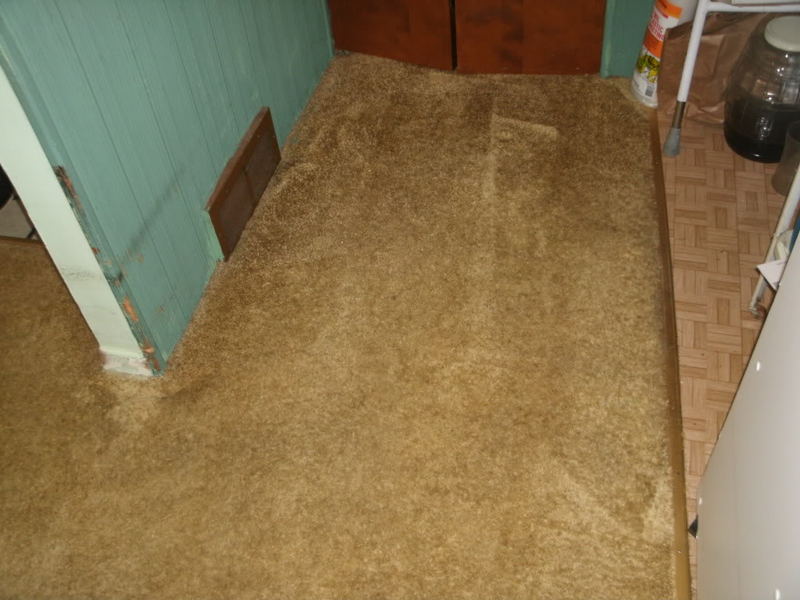 BeforeandAfterMidJune014.jpg