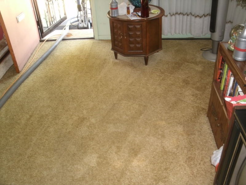 BeforeandAfterMidJune017.jpg