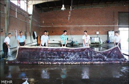Bigrugwash625605_10151457385104362_1477708739_n_zpsac71c1fb.jpg