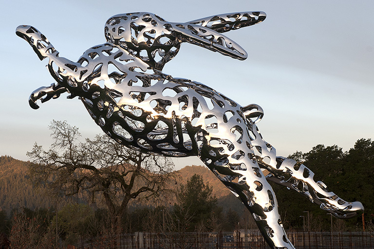 bunny_foo_foo_MJN_0551_768px.jpg