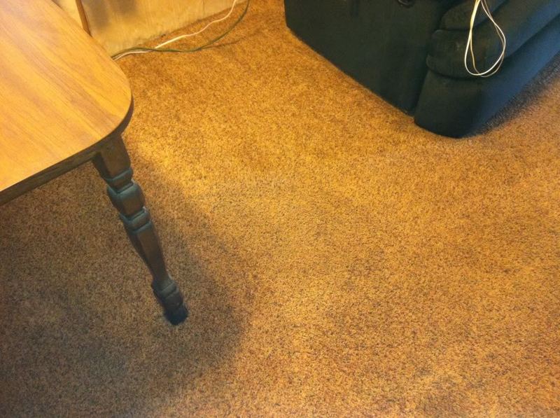 carpet012.jpg