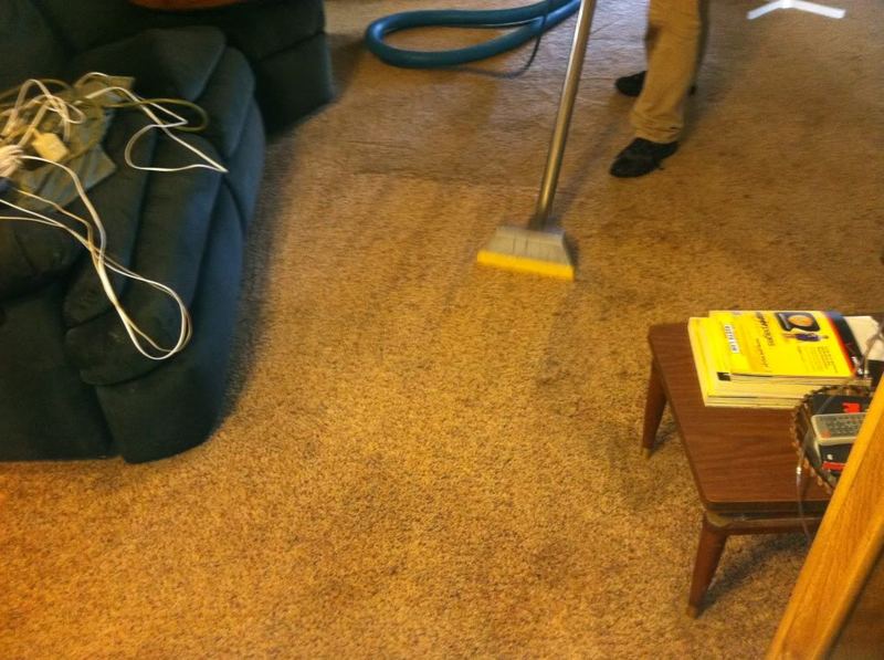 carpet013.jpg