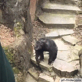 comment_Mm5xF5eHG2rvKM5SVnGgG1wM4q8HlBol.gif