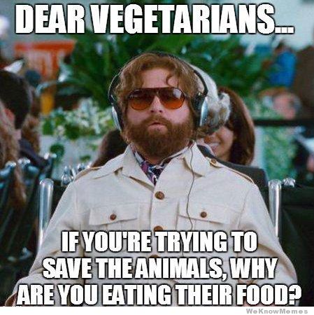 dear-vegetarians-meme.jpg