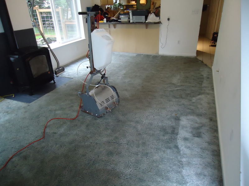 dirtycarpet002.jpg