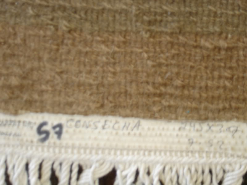 DSC01151-Copy.jpg