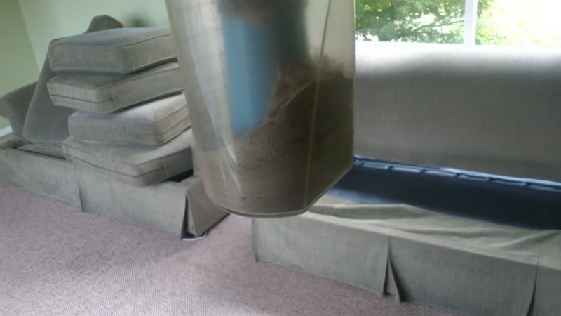 DSC_2453furnvacuuming.jpg