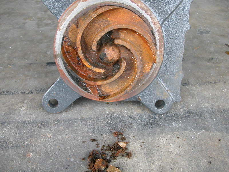 DSCN0837.jpg