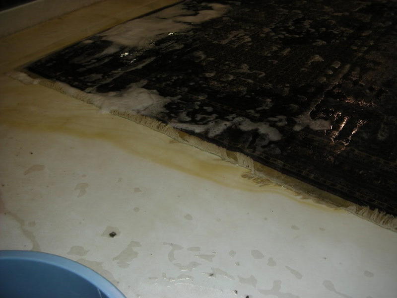 DSCN1081.jpg