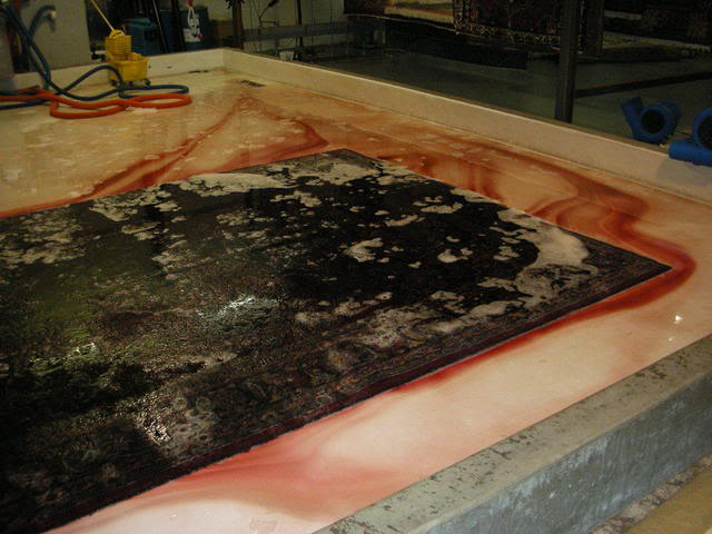 DSCN1138.jpg