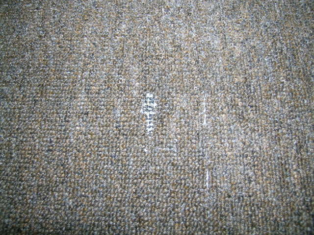 DSCN2320.jpg