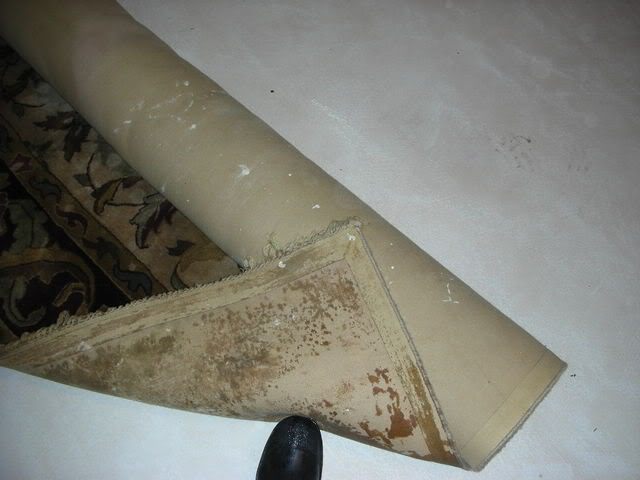 DSCN2385.jpg