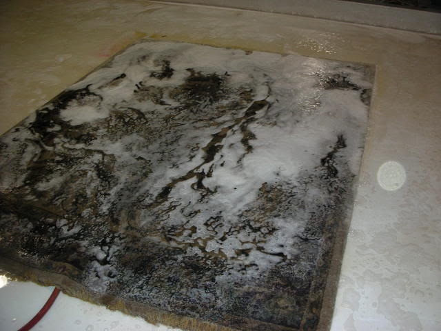DSCN2396.jpg