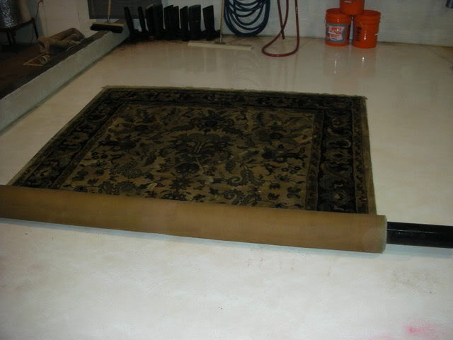 DSCN2402.jpg
