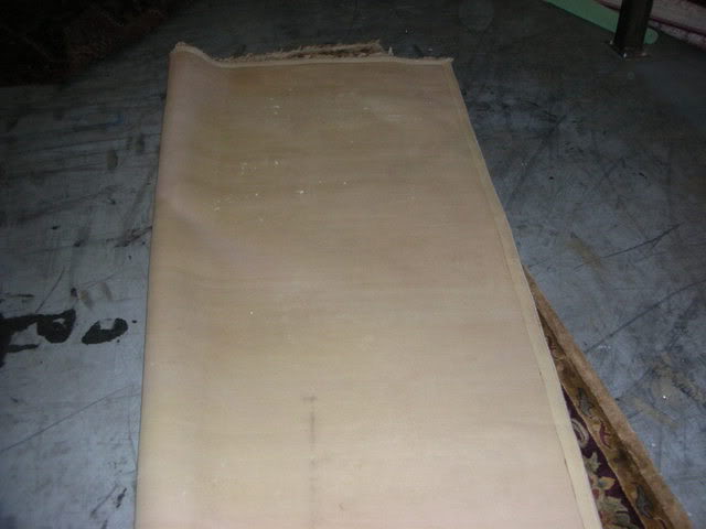 DSCN2414.jpg