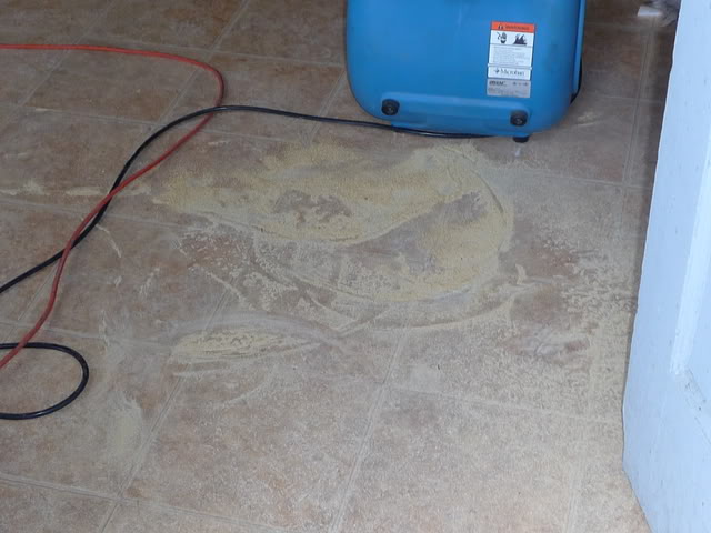 dust.jpg
