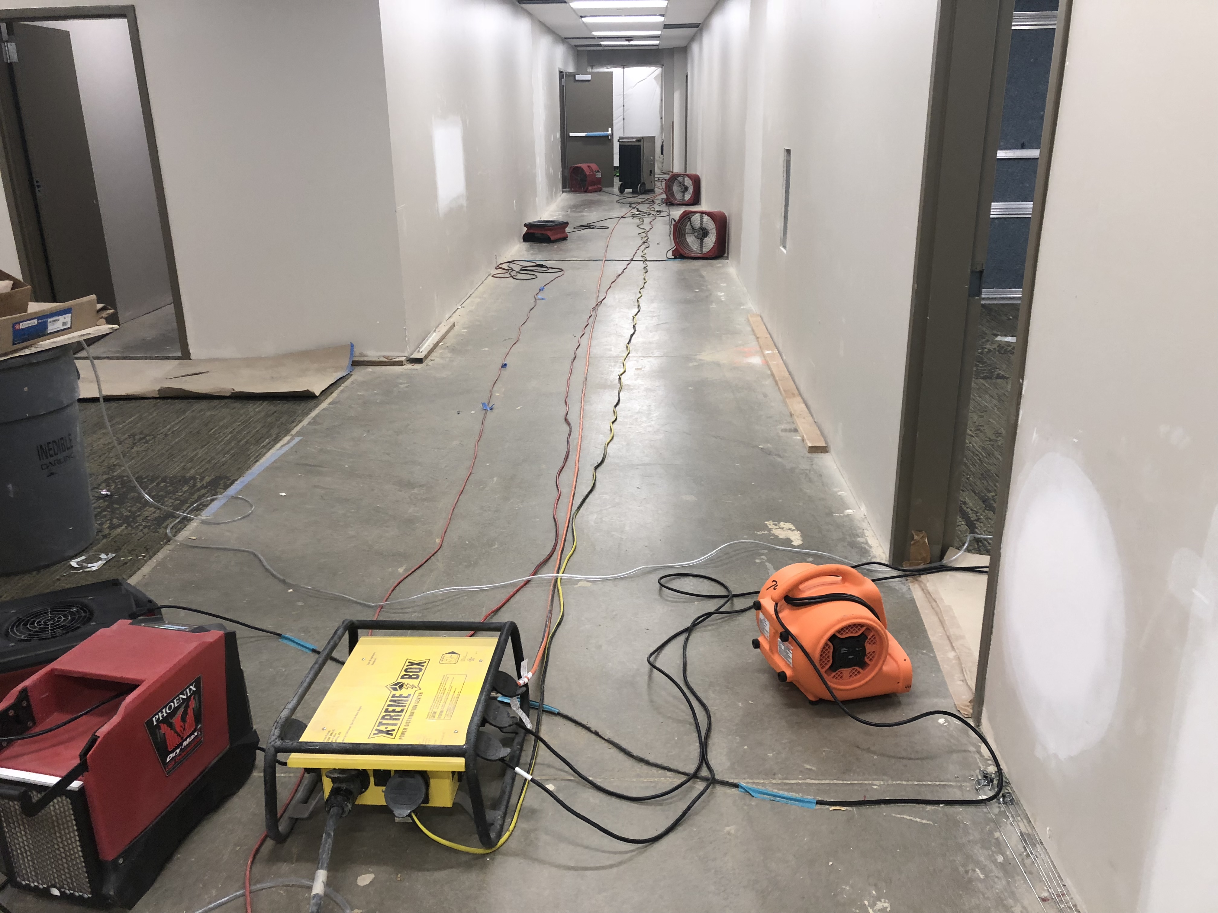 ECE1F8C6-61E5-4344-87D4-81D0E041185E.jpeg