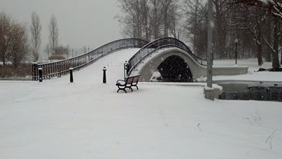 ELIZABETHPARK2.jpg