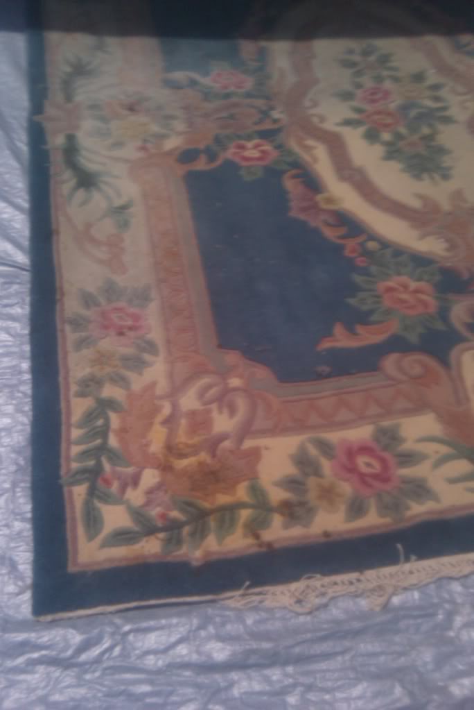 IMAG00181.jpg