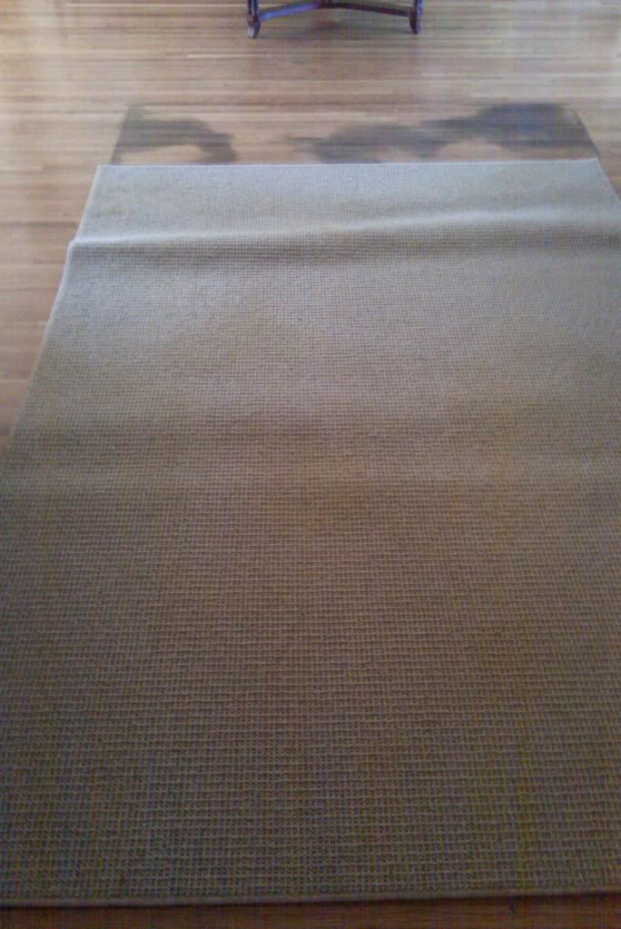 IMAG00371.jpg