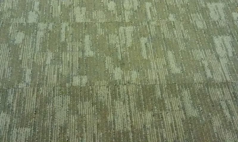 IMAG0475-1.jpg