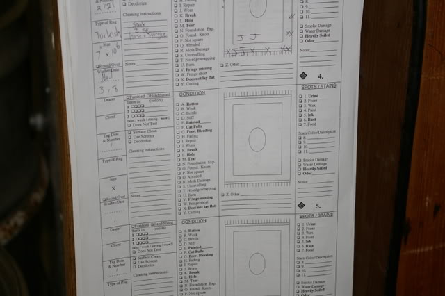 IMGP0229.jpg