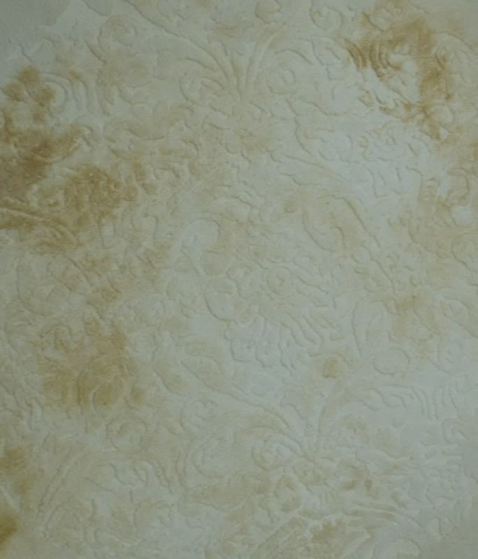 Indiancottontufted.jpg