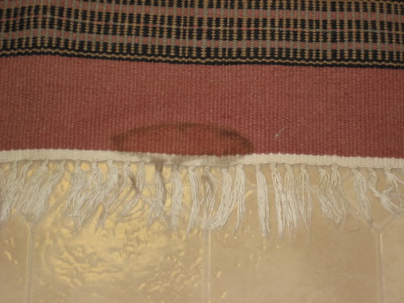 juliesrug002.jpg