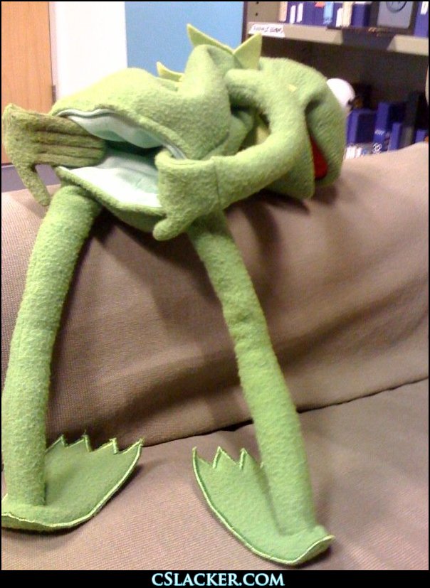 kermit-noooo_zpsa017c5a8.jpg