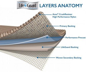 LIFE-GAURD-LAYERS-OF-ANATOMY-300x251.jpg