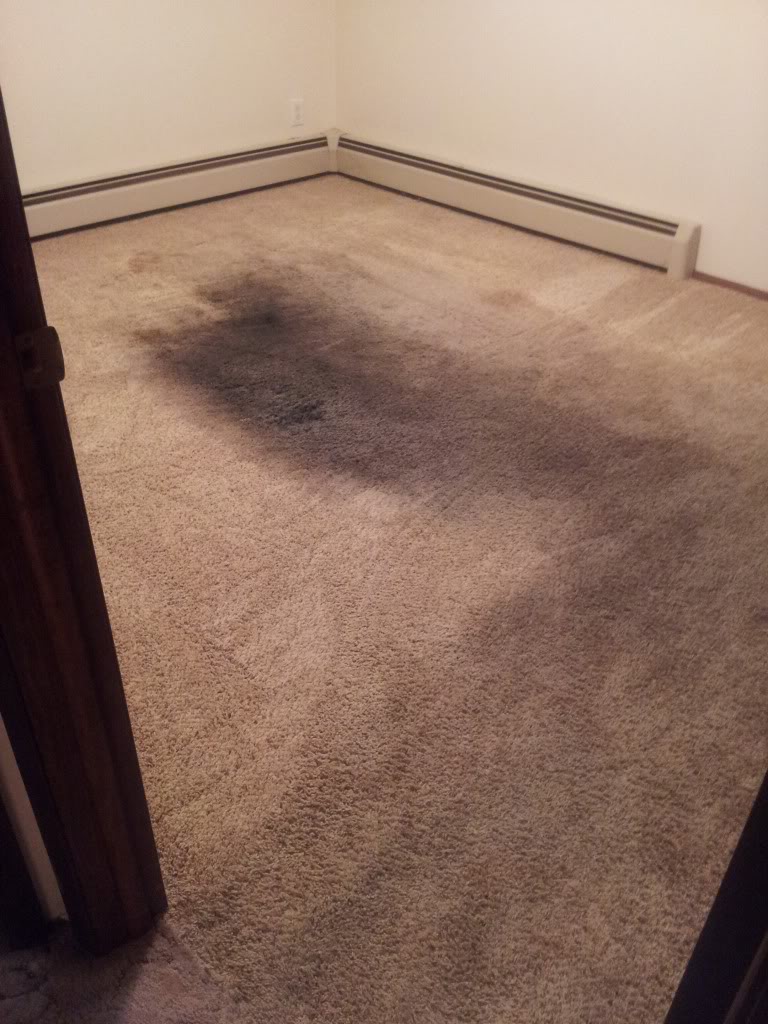 LittleoldLadyroom1.jpg