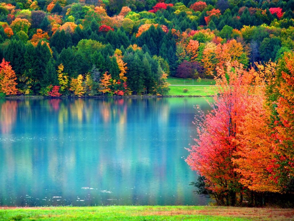 MN Fall lake and pics 3.jpg