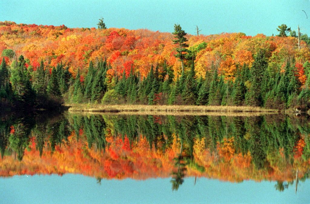MN Fall pics and lake 1.jpg