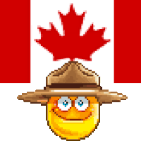 mounted_police_flag.gif