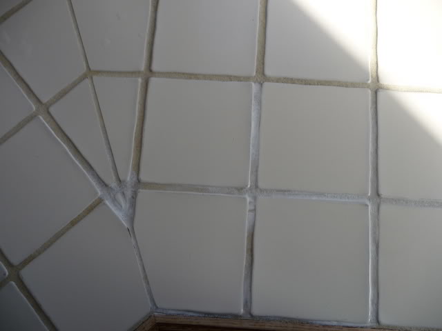 P1000627.jpg