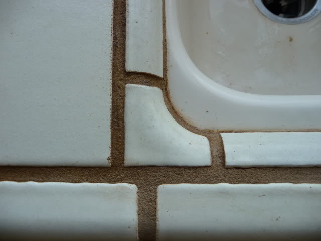 P1000651.jpg