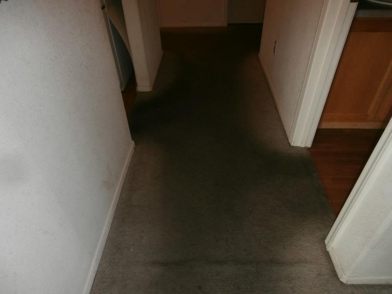 P3260122_zps27e1ecfe.jpg