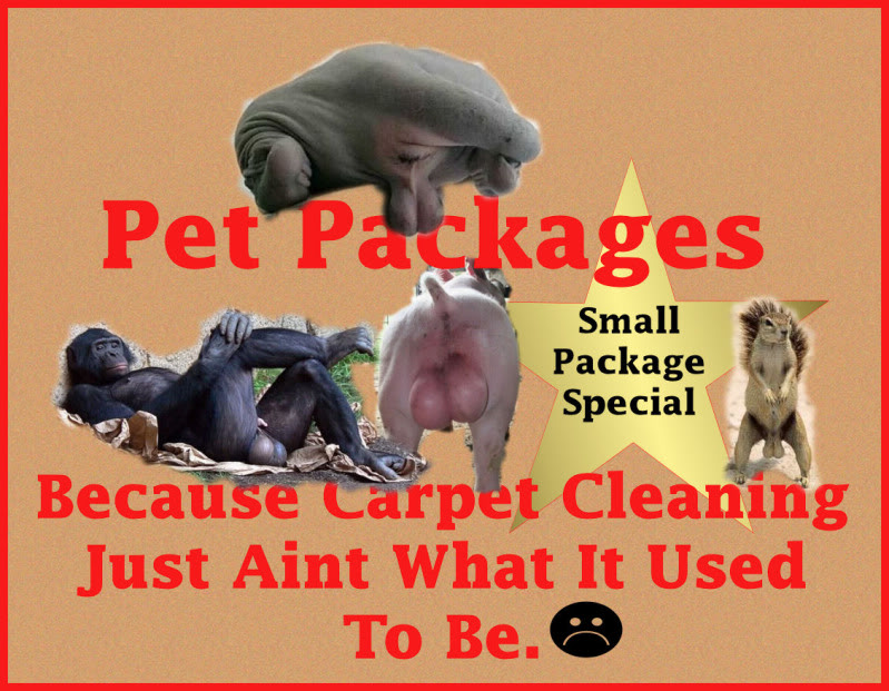 packs.jpg