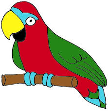 parrot_zps84b0b240.jpg