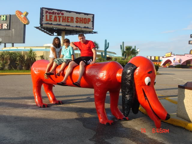 Picture257.jpg