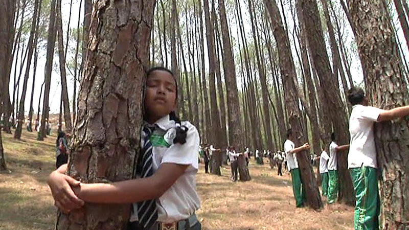tdy%20tree%20huggers.jpg
