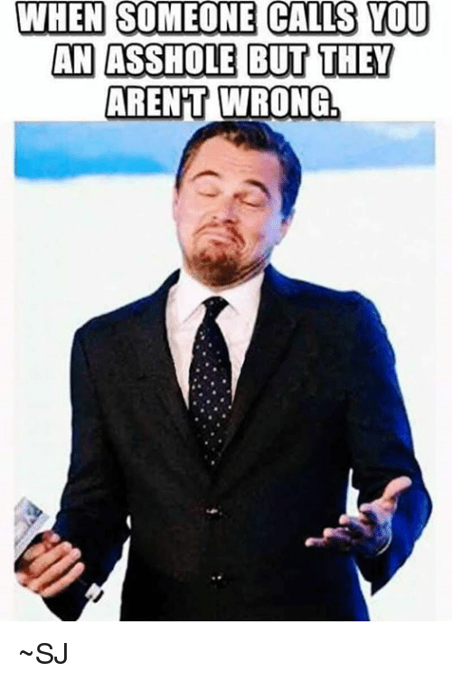 when-someone-calls-you-an-asshole-but-they-arent-wrong-25009411.png