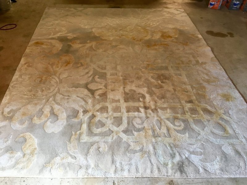 rug1.jpg