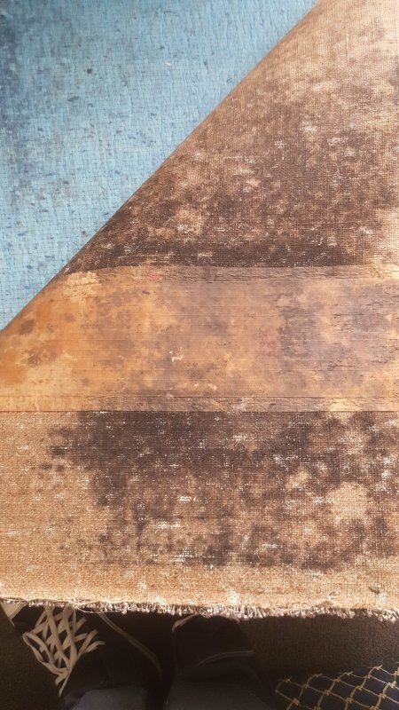 20180712_123900.jpg