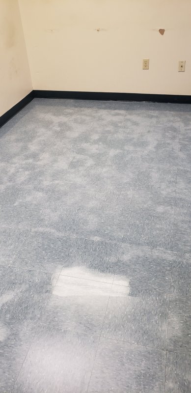 20180729_132020.jpg