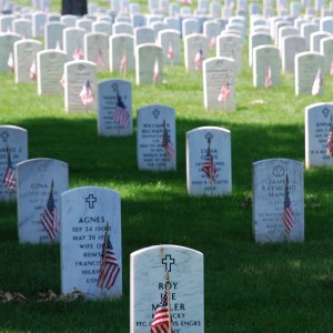 Graves_at_Arlington_on_Memorial_Day.jpg