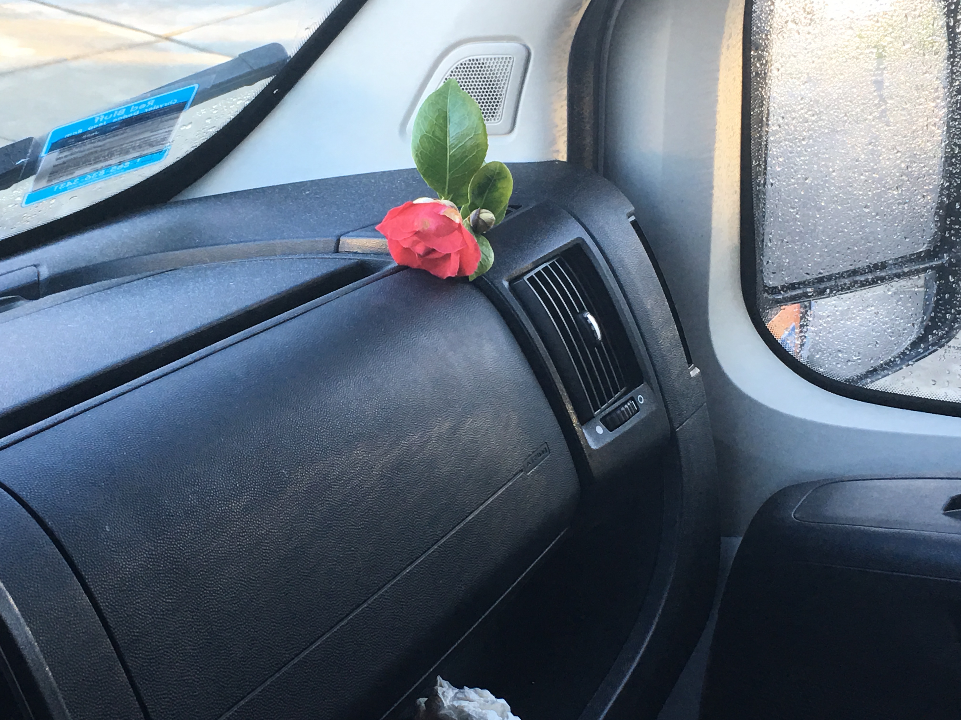 https://mikeysboard.com/threads/flowers-in-the-van.292136