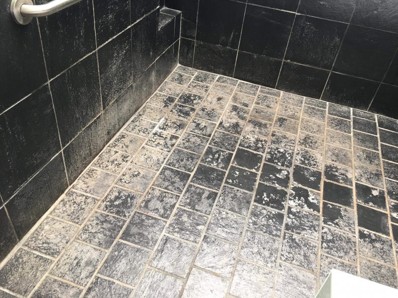 https://mikeysboard.com/threads/matt-woods-slate-shower-project.292762