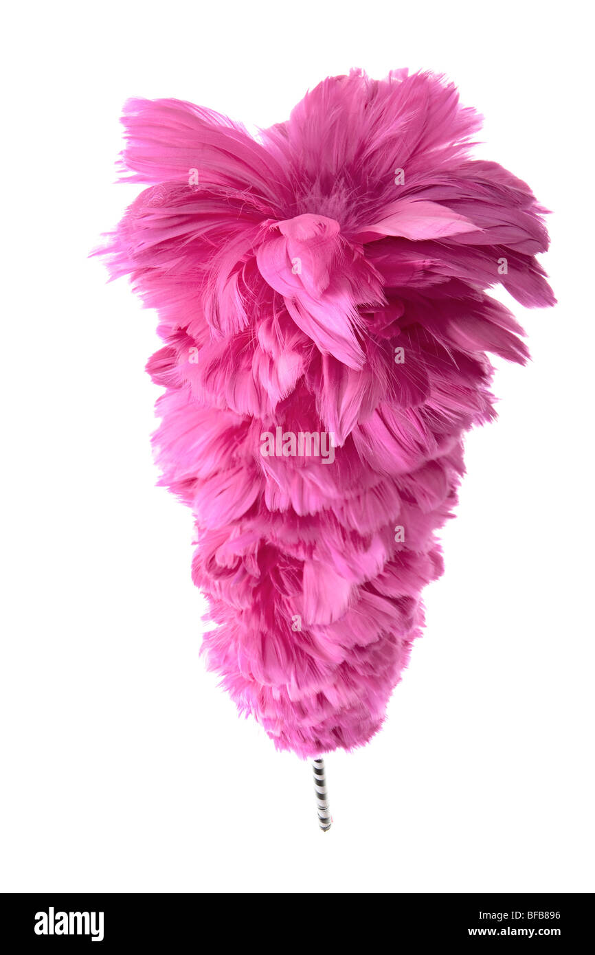 pink-feather-duster-1-BFB896.jpg